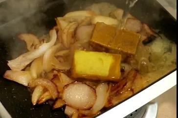 天鵬咖喱塊